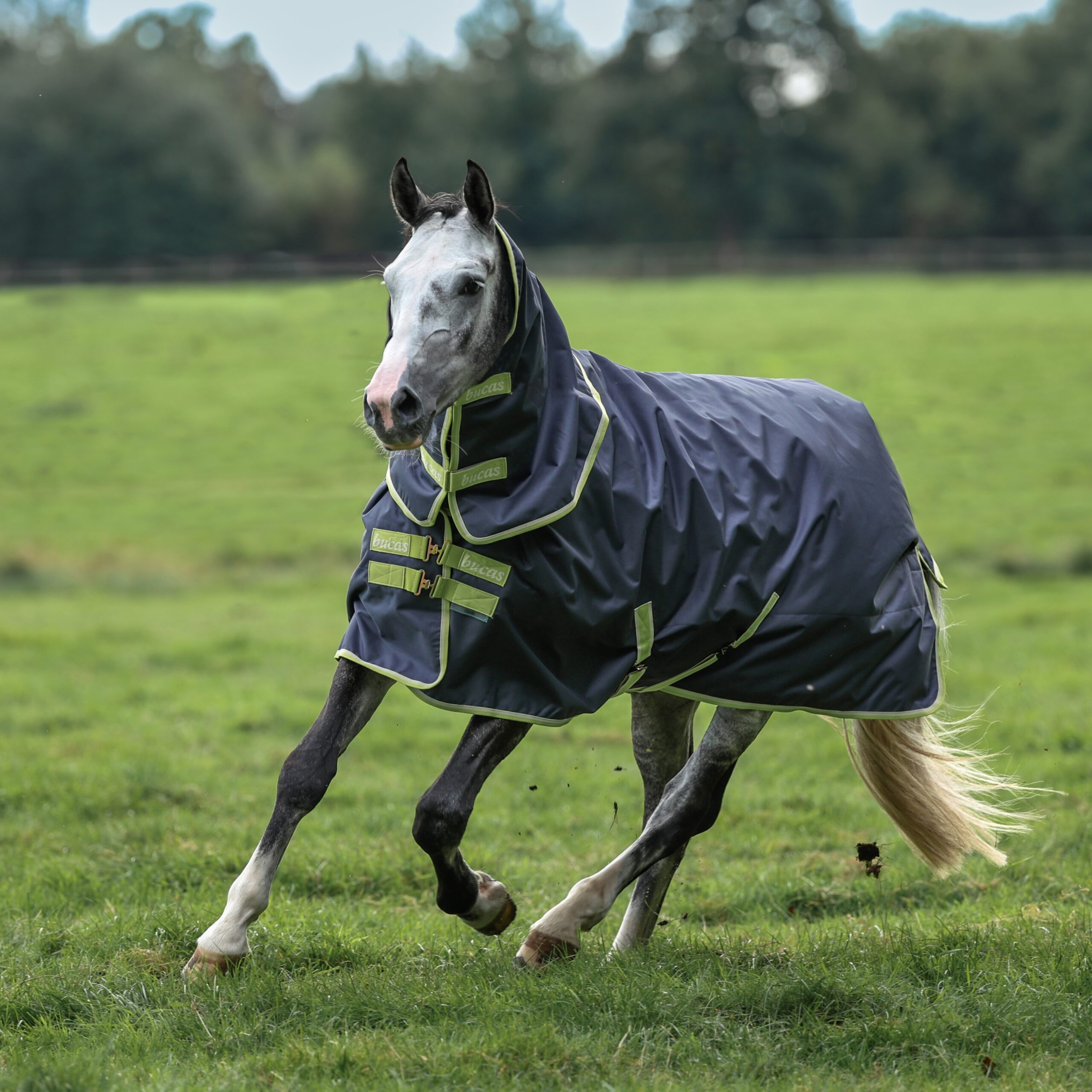 BUCAS Oasis Turnout 100 g mit 50 g Neck 