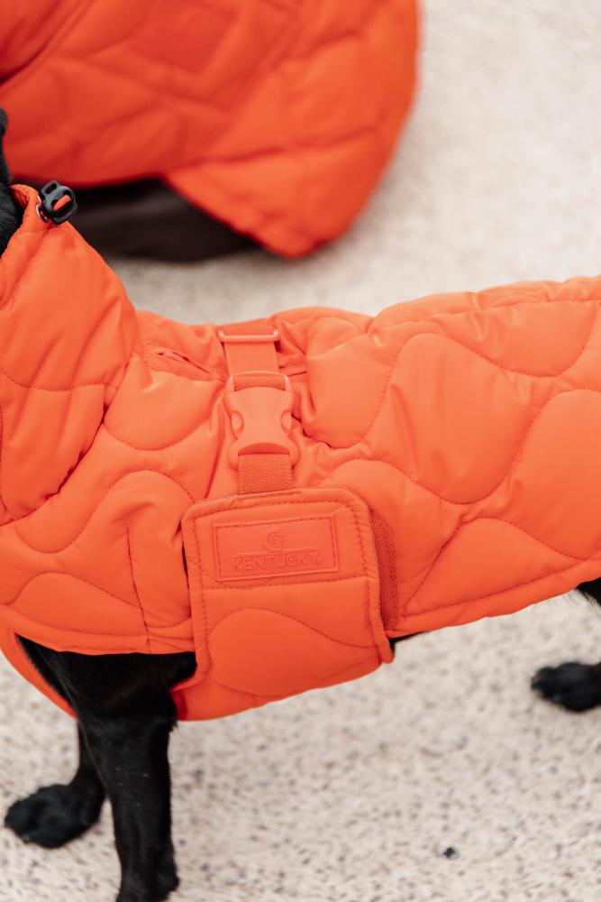 KENTUCKY® DOGWEAR Hundemantel Winter Pina, orange
