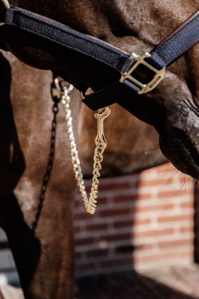 KENTUCKY® HORSEWEAR Lederkettenleine, schwarz