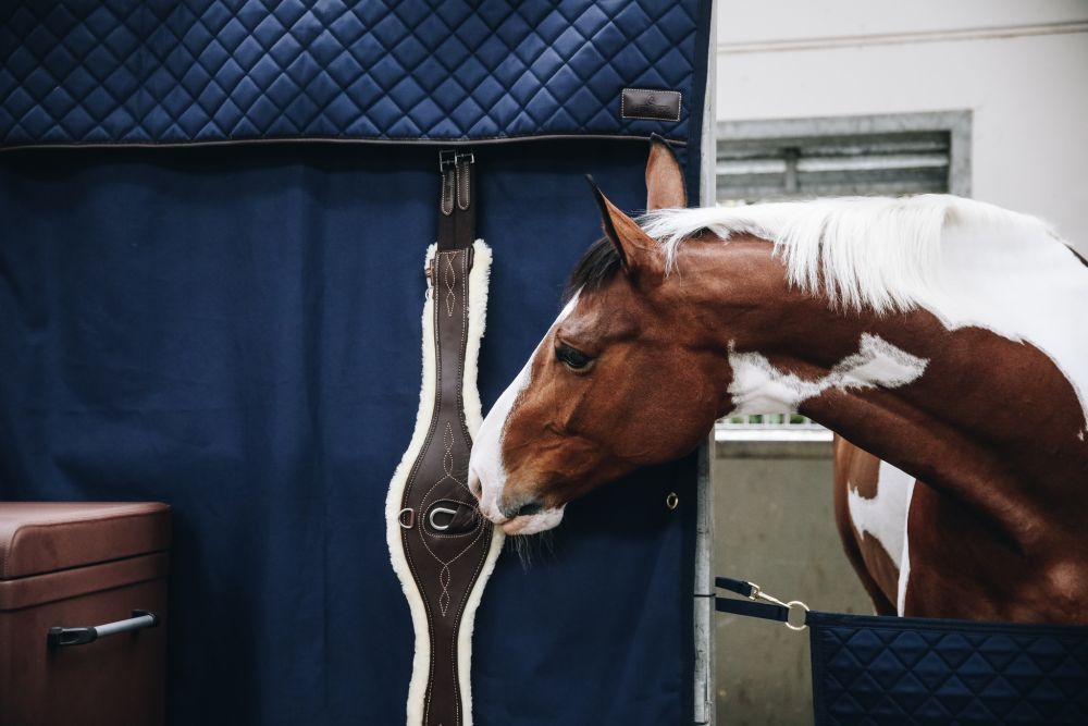 KENTUCKY® HORSEWEAR Stallvorhang, wasserdicht, marine