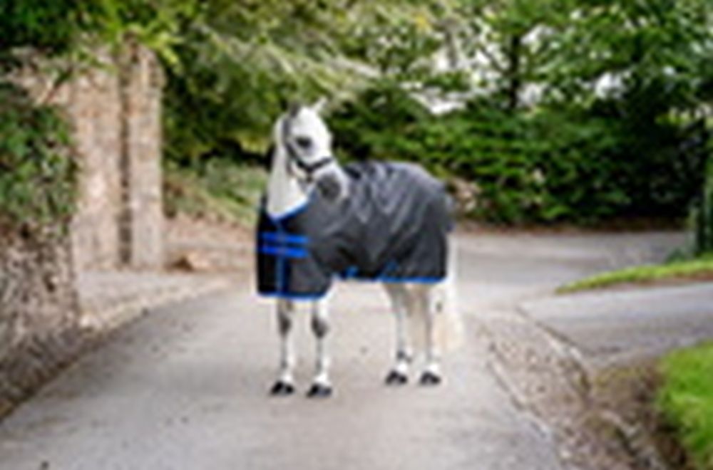 HORSEWARE® Amigo® Ripstop 900 Plus, 0 g, black/classic blue