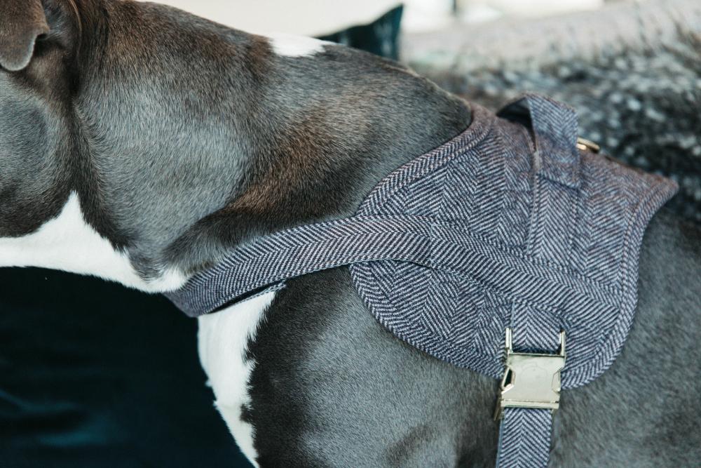 KENTUCKY® DOGWEAR Hundegeschirr Body Safe Wolle, grau