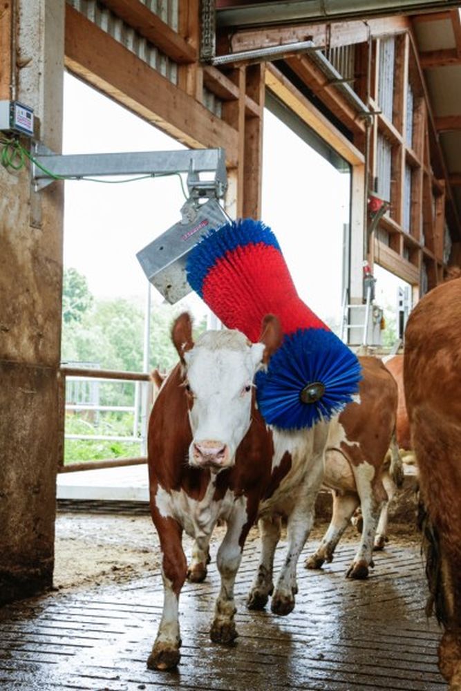 HAPPYCOW Kuhputzmaschine MaxiSwing