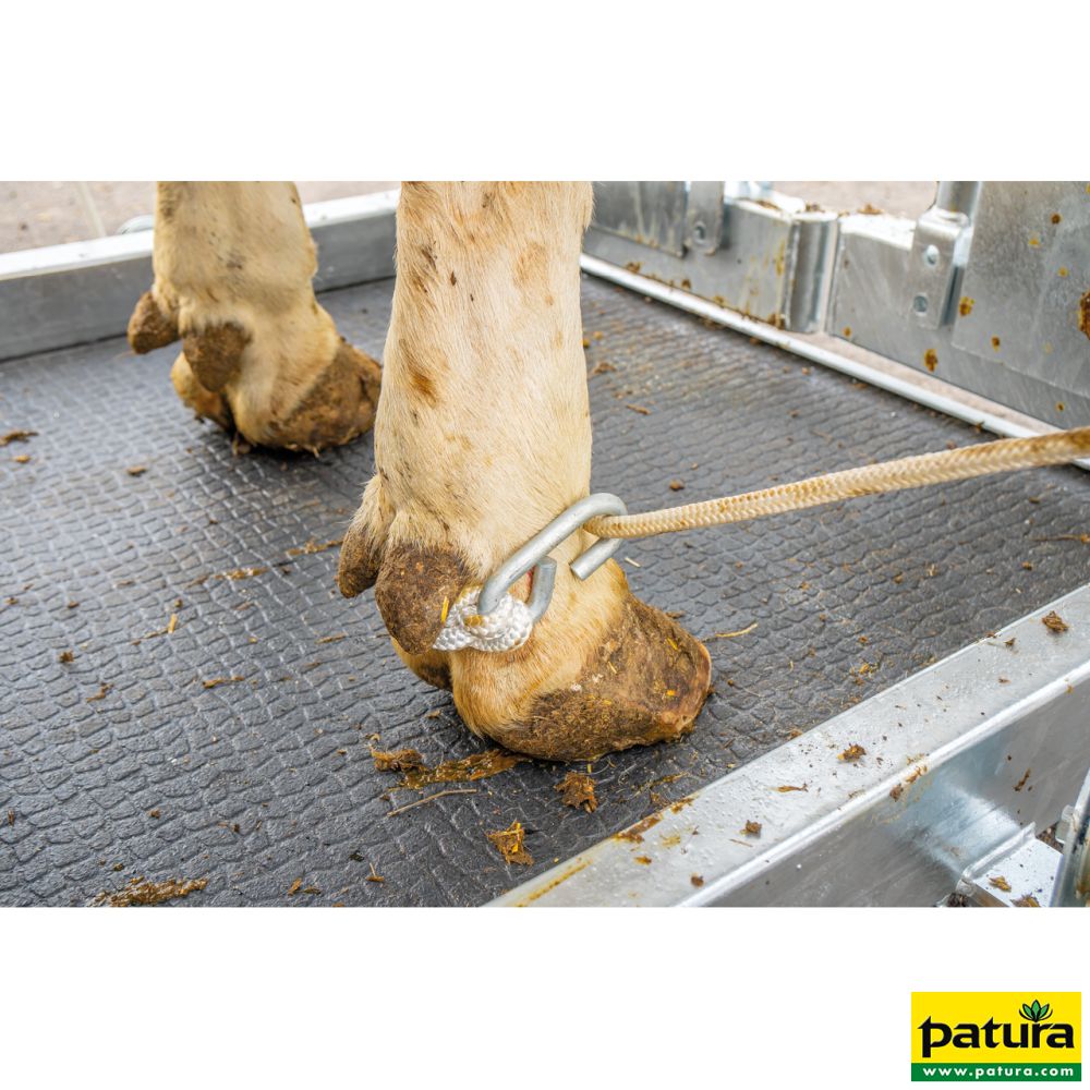 PATURA Klauenpflegestand Profi E