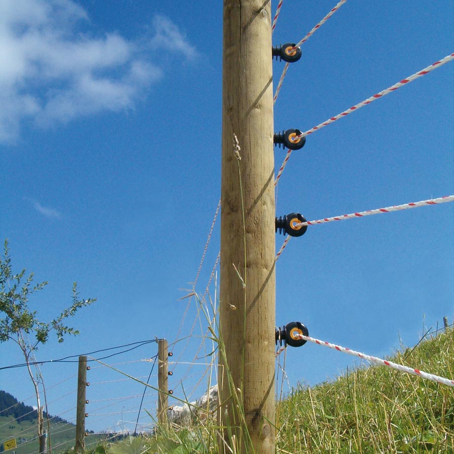 GALLAGHER TurboLine-Cord, weiß