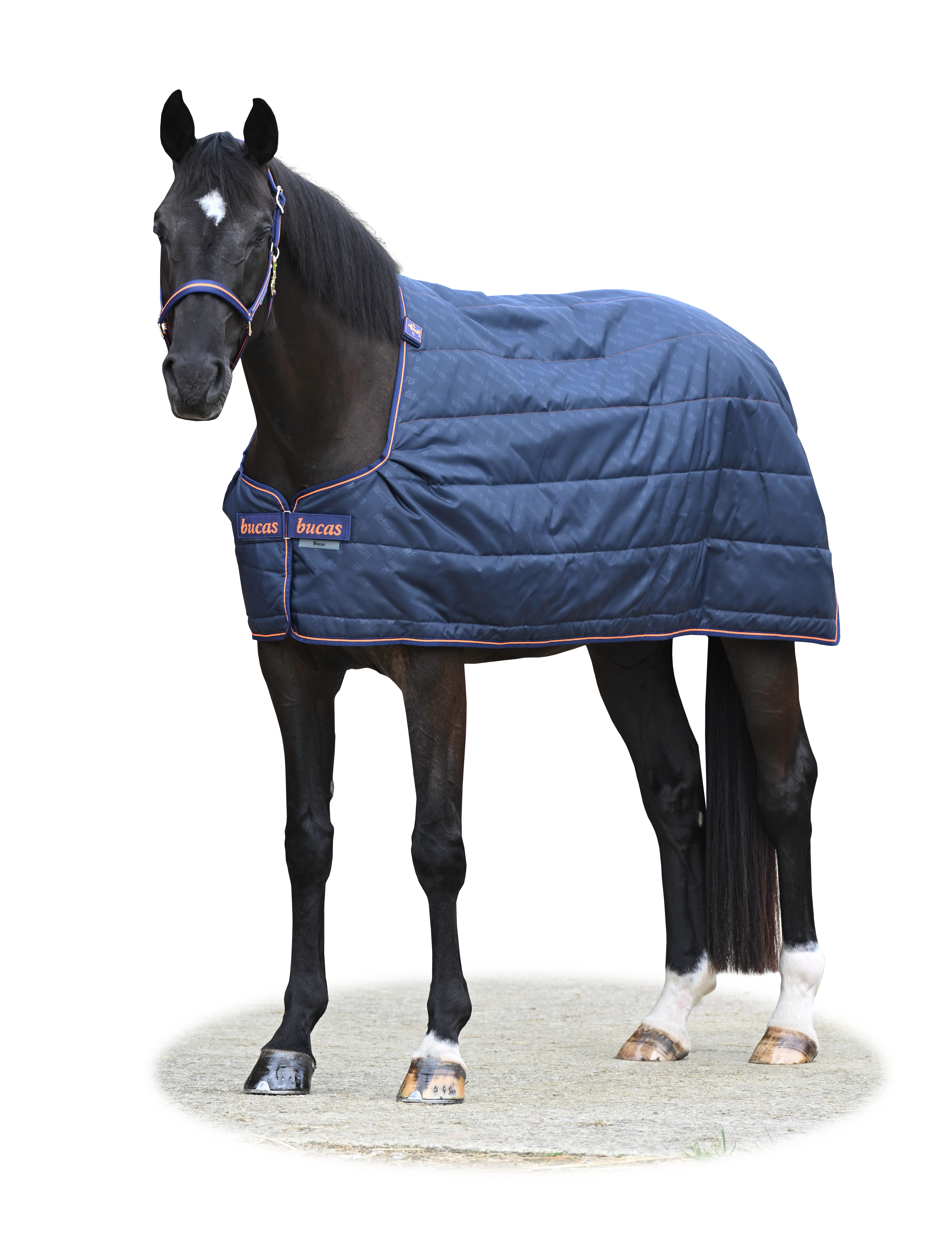 BUCAS Therapy Liner, navy/orange