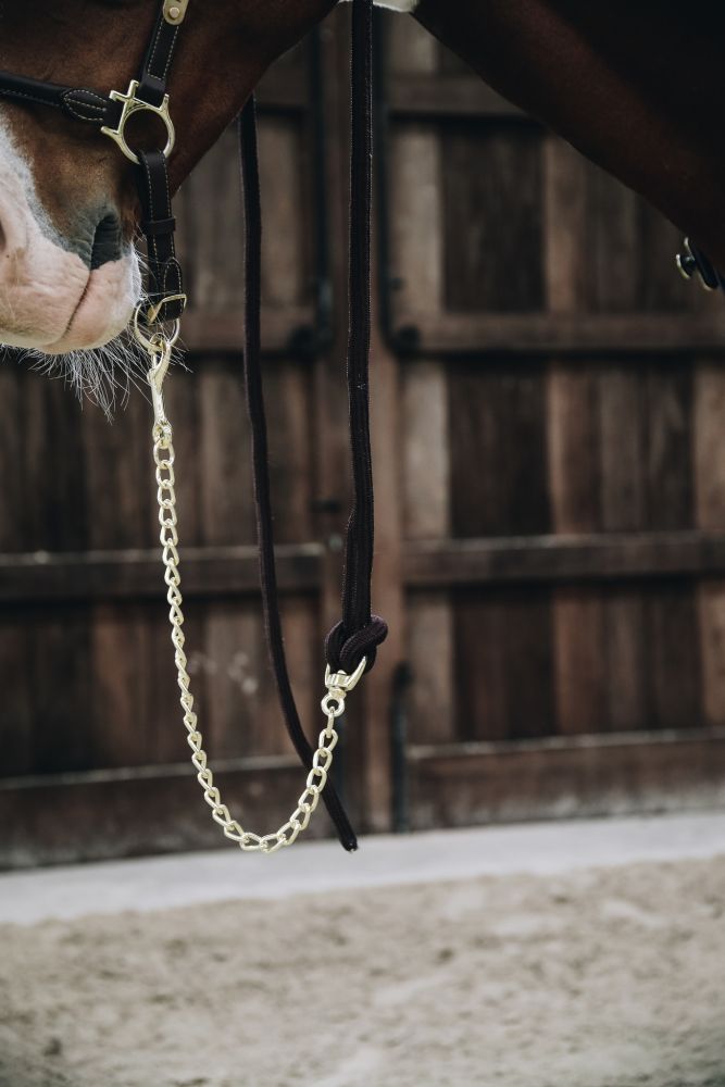 KENTUCKY® HORSEWEAR Hengstkette
