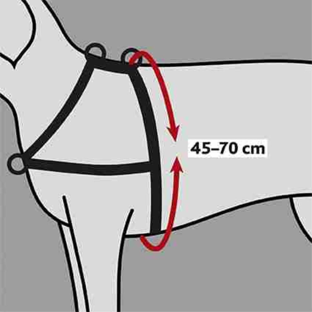 TRIXIE Trainingsgeschirr Lead'n'Walk Soft