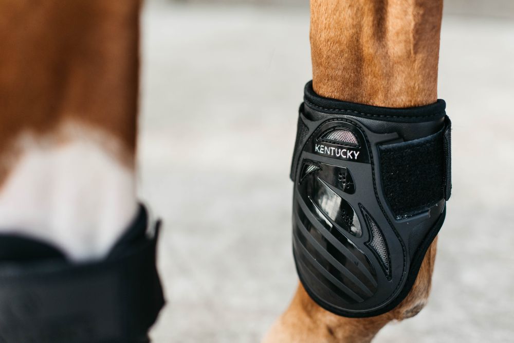 KENTUCKY® HORSEWEAR Streichkappe Young Horse, schwarz