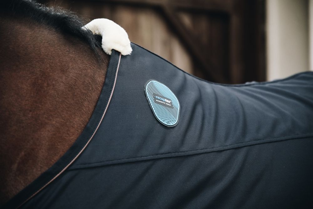 KENTUCKY® HORSEWEAR Magnetic Recuptex Decke