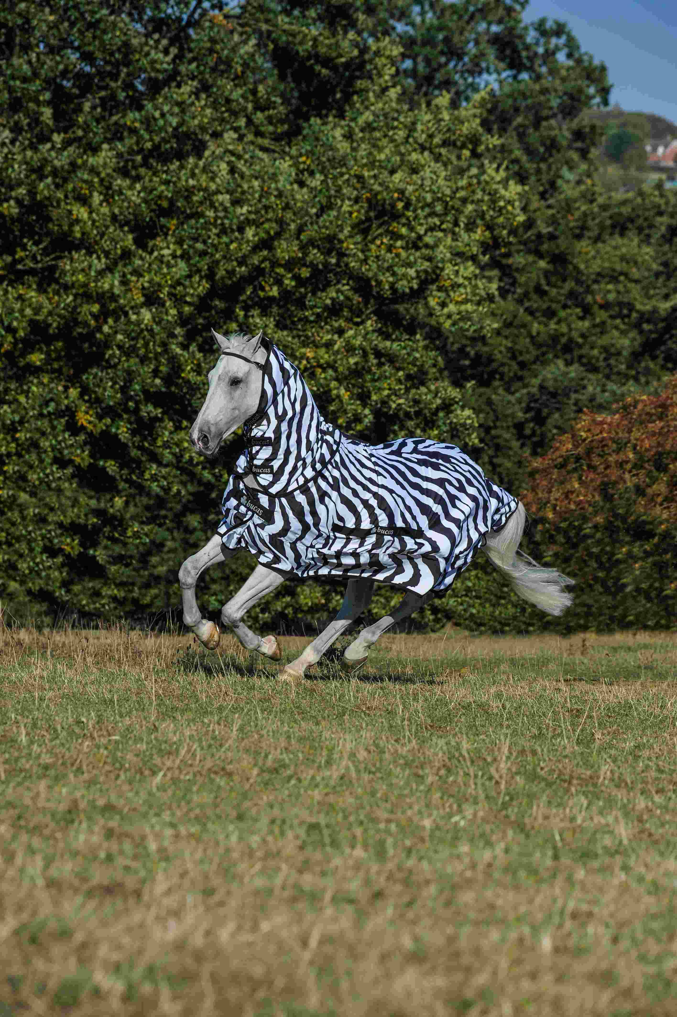 BUCAS Sweet-itch Zebra