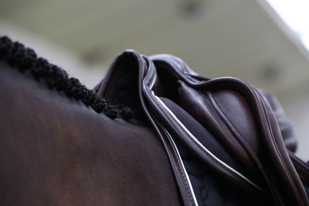 KENTUCKY® HORSEWEAR Sattelpad Absorb, schwarz/weiß/braun