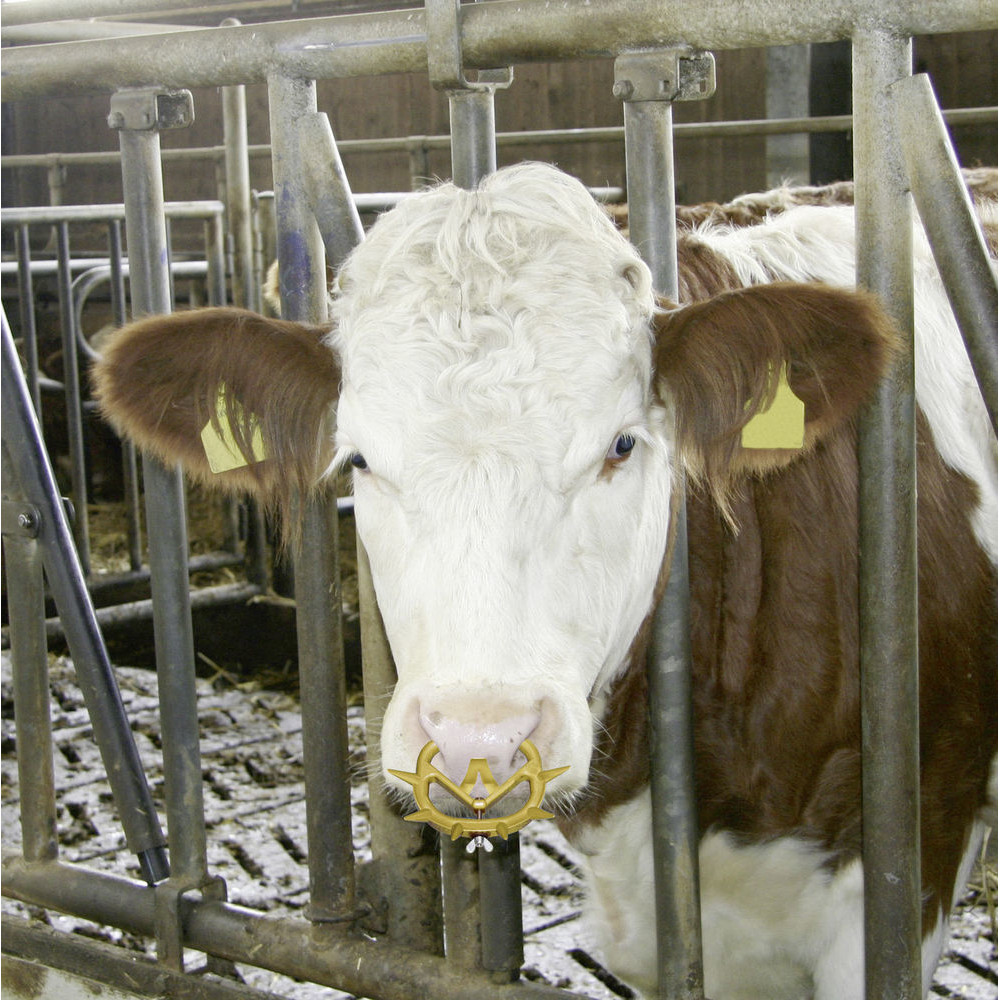 Viehsaugentwöhner Müller 2010