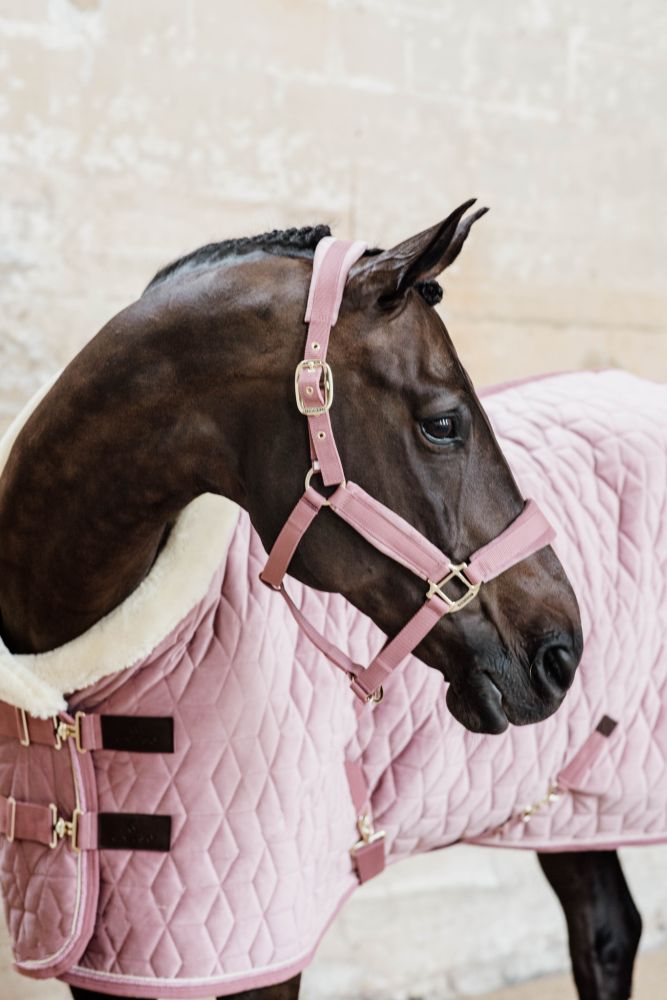 KENTUCKY® HORSEWEAR Velvet Halfter, altrosa