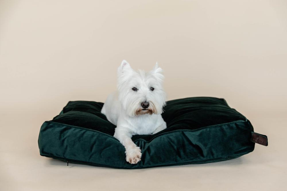 KENTUCKY® DOGWEAR Hundekissen aus Samt, tannengrün