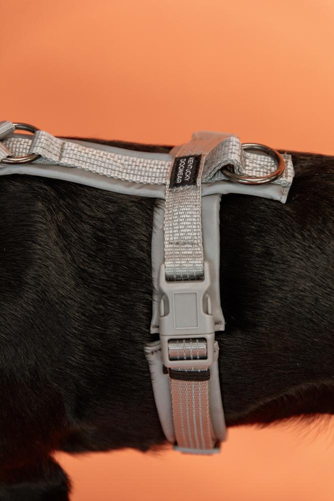KENTUCKY® DOGWEAR Hundegeschirr Aktiv reflektierend, silber