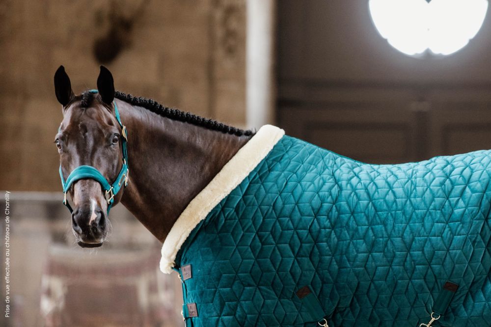 KENTUCKY® HORSEWEAR Velvet Halfter, smaragdgrün