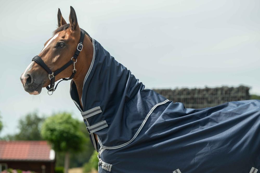Braunes Pferd in Seitenansicht trägt die ungefütterte HKM Weidedecke ThermoPro mit Halsteil in der Farbe Dunkelblau.