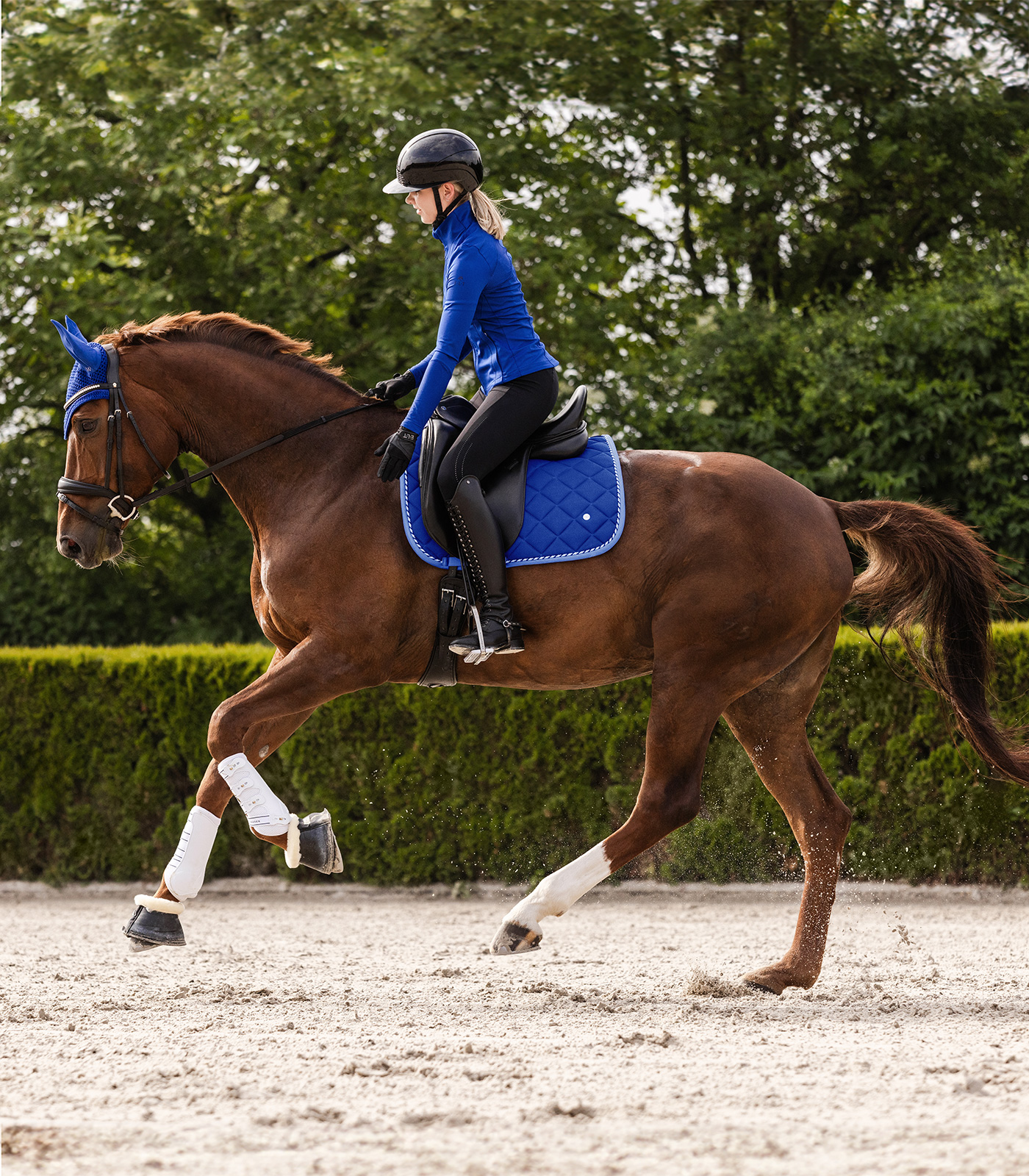 WALDHAUSEN Schabracke Breath Dressur, saphirblau