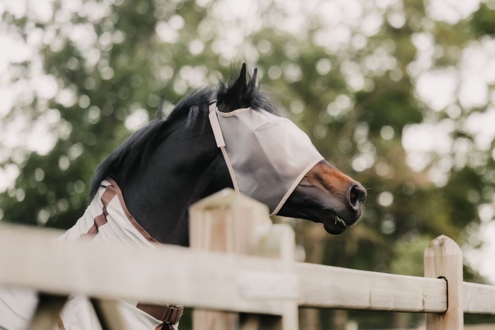 KENTUCKY® HORSEWEAR Fliegenmske Classic ohne Ohren, beige