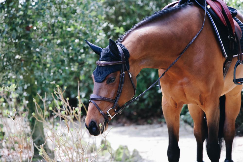KENTUCKY® HORSEWEAR Fliegenhaube Wellington, marine