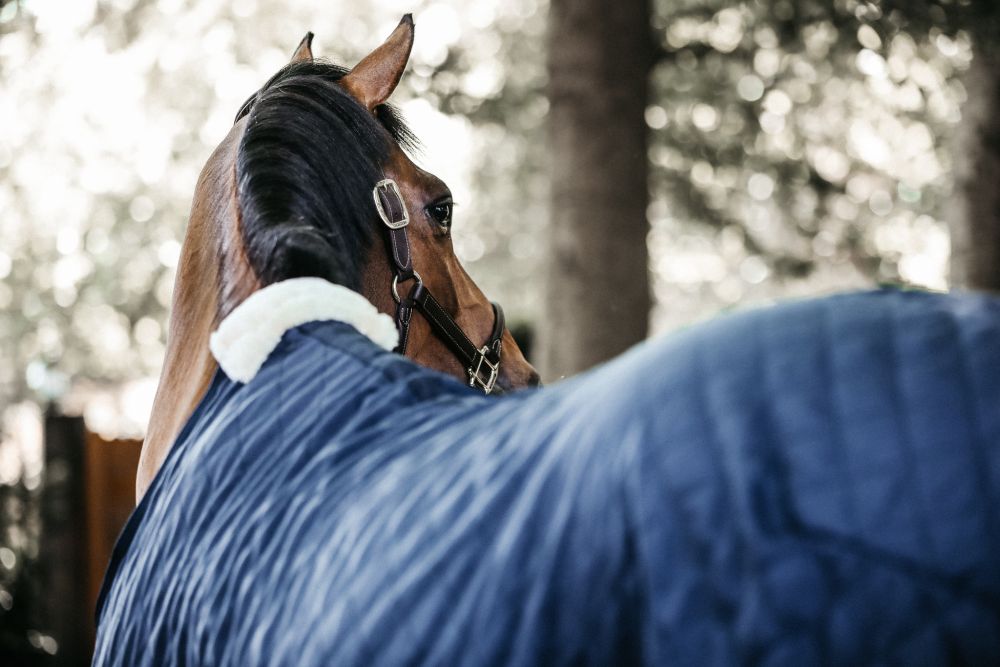 KENTUCKY® HORSEWEAR Stalldecke 0 g, marine