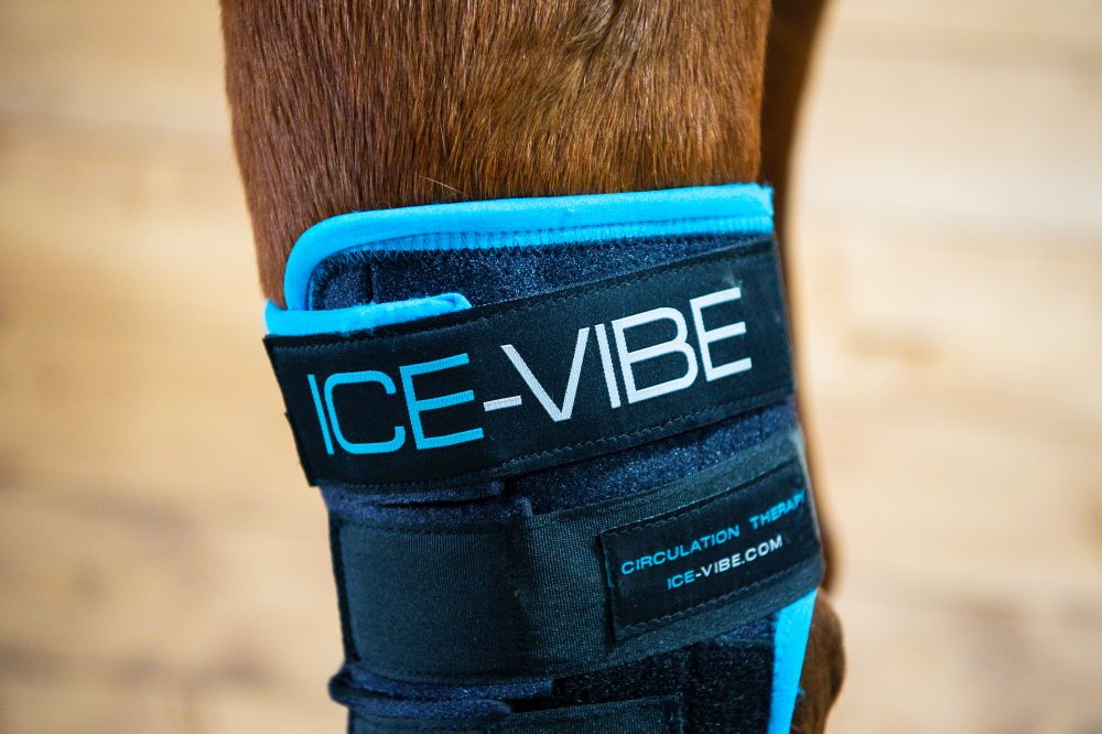 HORSEWARE® Ice-Vibe® Hock Wrap (Sprunggelenk)