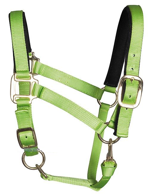 WESTERN IMPORTS® Tuff Stuff Halter, limettengrün, Jährling