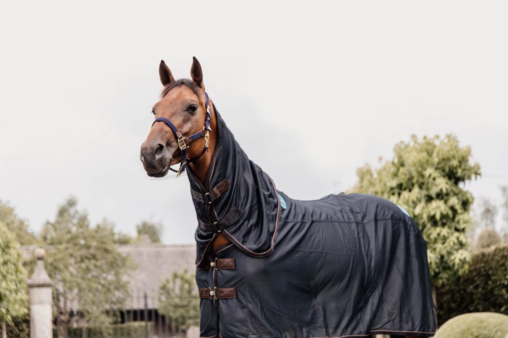 KENTUCKY® HORSEWEAR Magnetic Recuptex Halsteil
