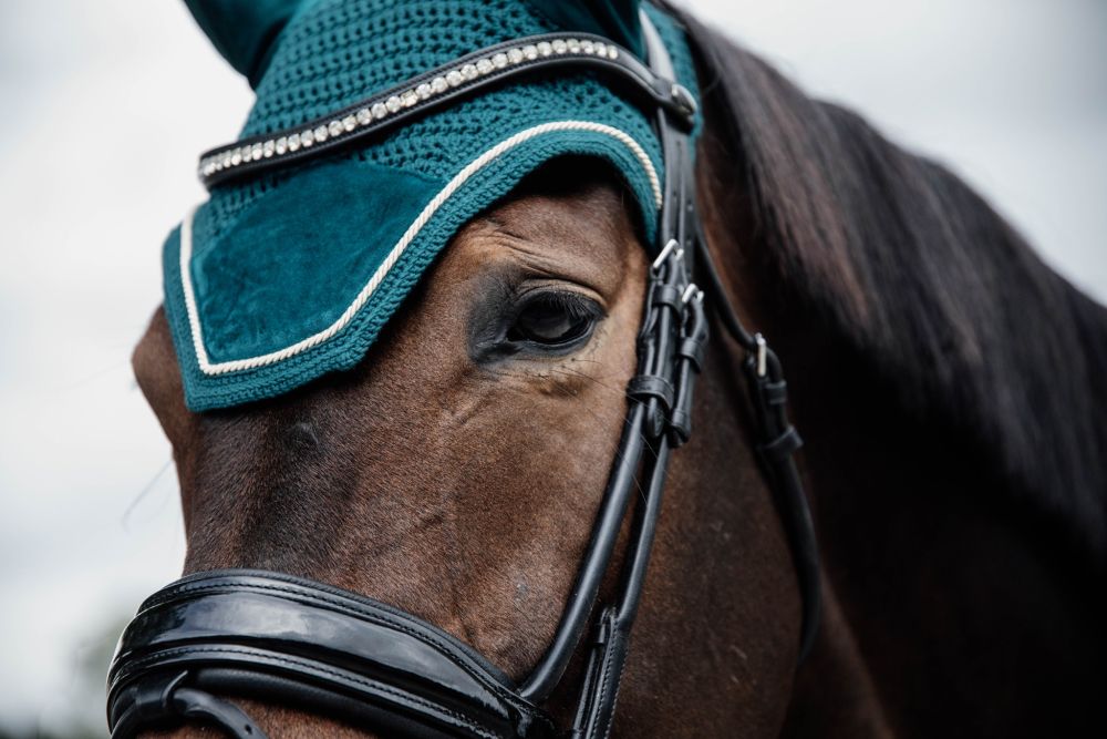 KENTUCKY® HORSEWEAR Fliegenhaube Wellington Velvet, smaragdgrün