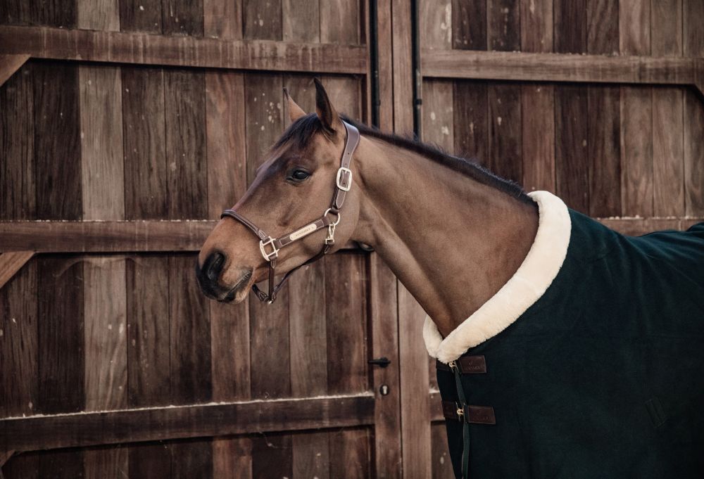 KENTUCKY® HORSEWEAR Turnierabschwitzdecke Heavy Fleece, pinien-grün