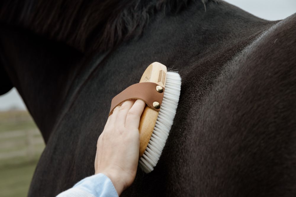 KENTUCKY® GROOMING DELUXE Small Overall Brush Soft 