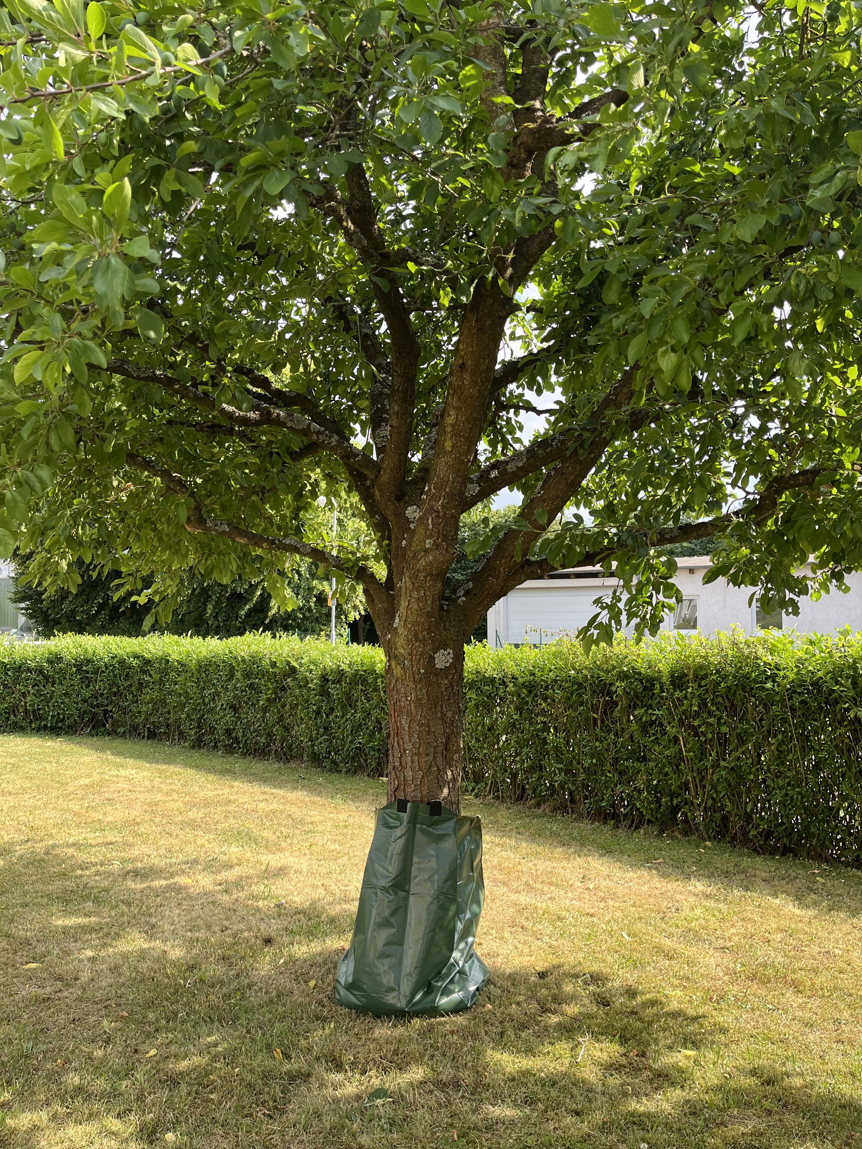 GÖBEL Baumbewässerungssack, 75 l