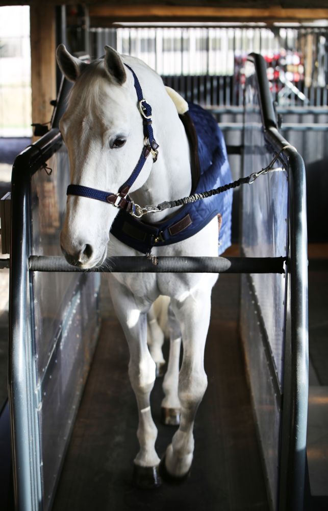 KENTUCKY® HORSEWEAR Walker Rug