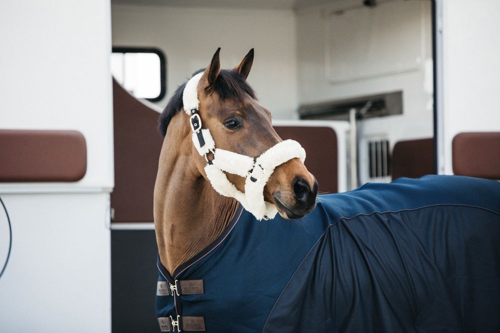 KENTUCKY® HORSEWEAR Lammfell Transport-Halfter, natur