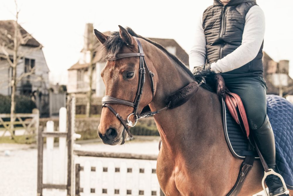 KENTUCKY® HORSEWEAR Schaffell-Nasenriemenschoner, braun