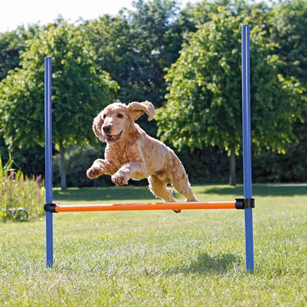 TRIXIE Agility Hürde Set, orange/blau