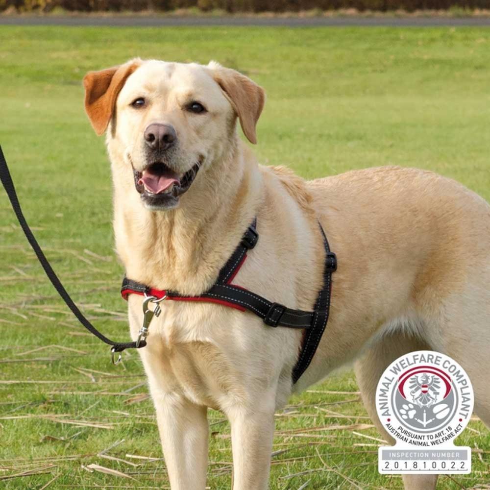 TRIXIE Trainingsgeschirr Lead'n'Walk Soft