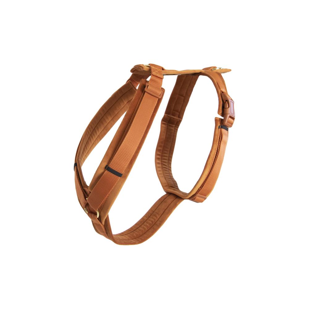 KENTUCKY® DOGWEAR Hundegeschirr Aktiv aus Samt, orange