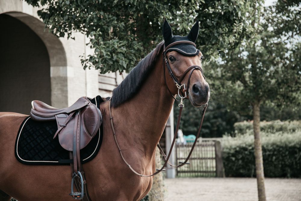 KENTUCKY® HORSEWEAR Fliegenhaube Wellington Cord, schwarz