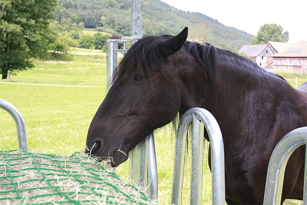 STALLBEDARF24 Viereckraufe mit Palisadenfressgittern - Set