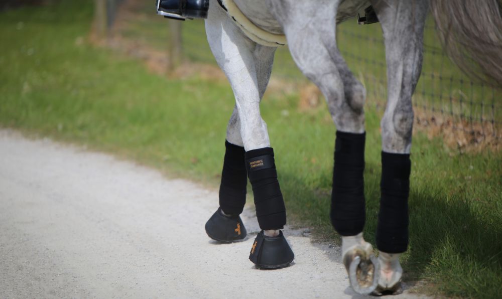 KENTUCKY® HORSEWEAR Hufglocken Leder