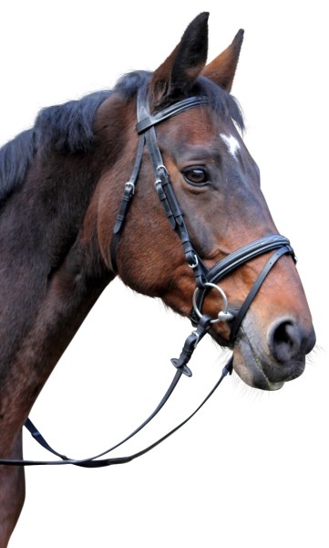 KERBL Trensenzaum Classic Leder, schwarz
