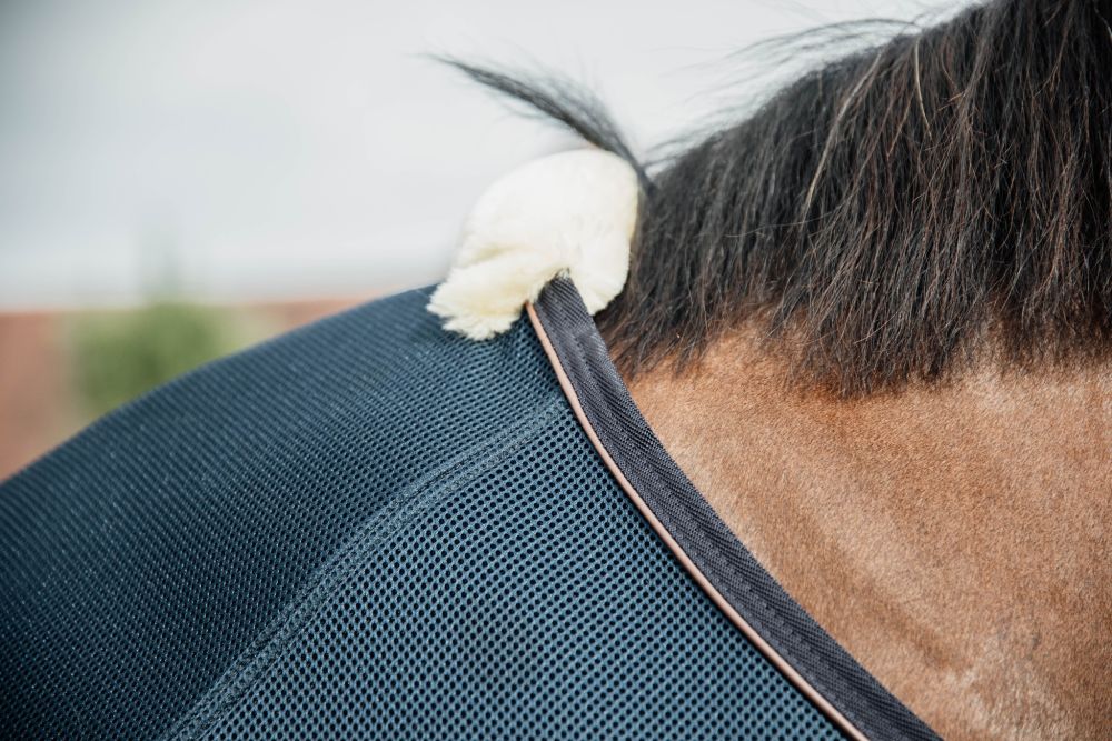 KENTUCKY® HORSEWEAR Mesh Abschwitzdecke kombiniert