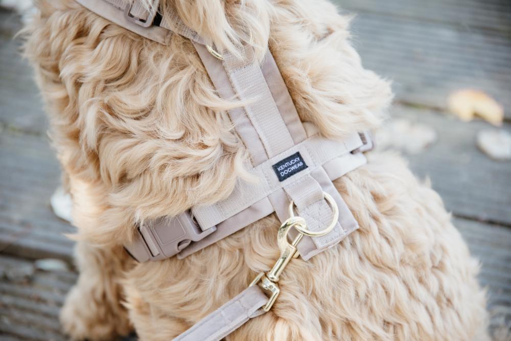 KENTUCKY® DOGWEAR Hundegeschirr Aktiv aus Samt, beige