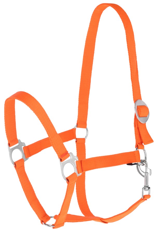 KERBL Nylonhalfter Hippo, orange