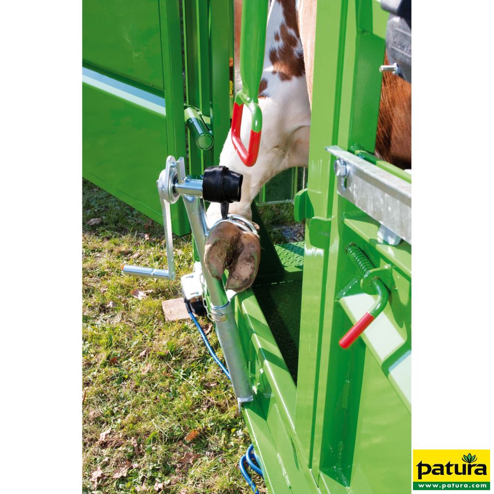 PATURA Behandlungsstand A 5000