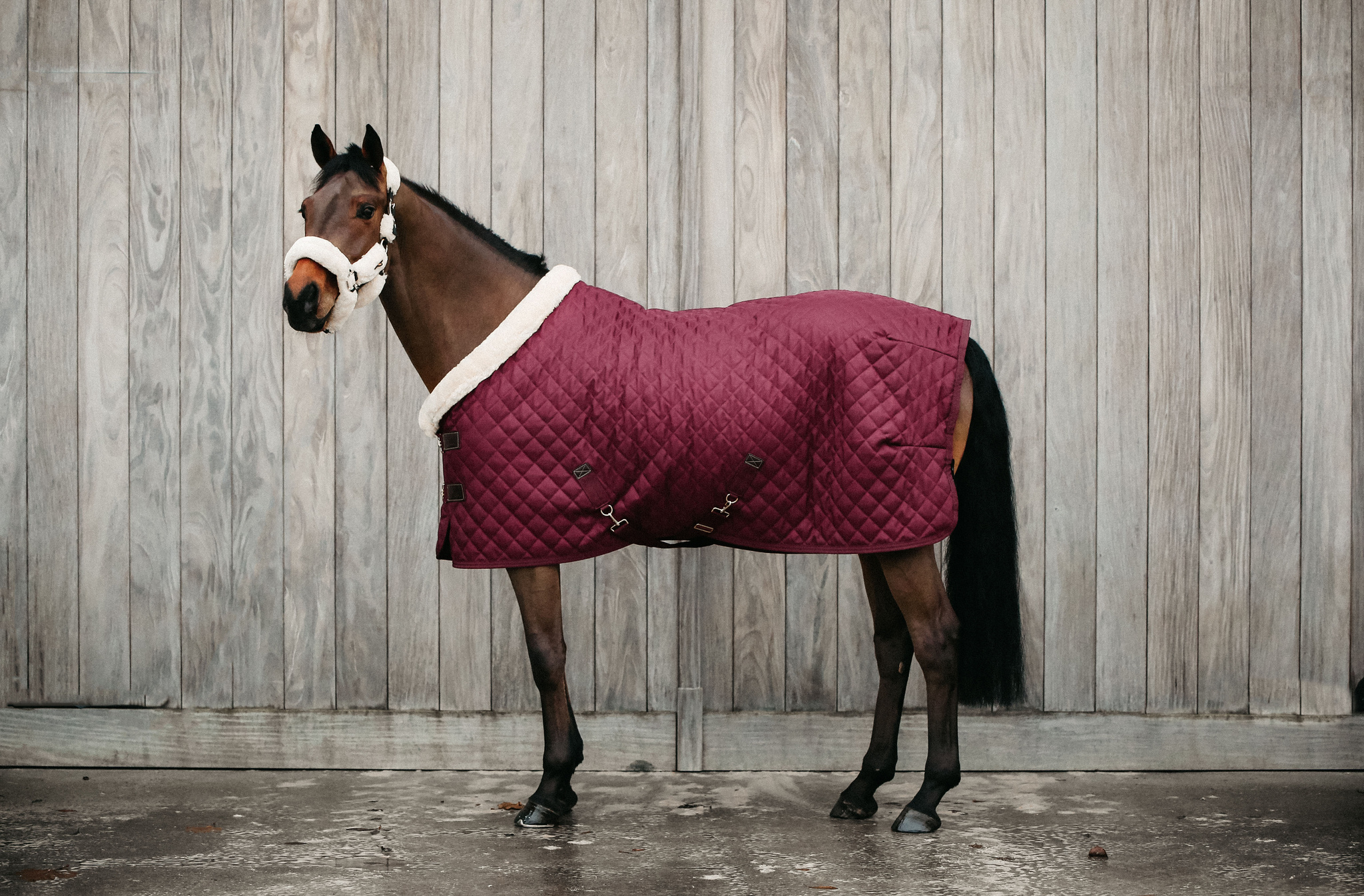 KENTUCKY® HORSEWEAR Turnierdecke, bordeaux