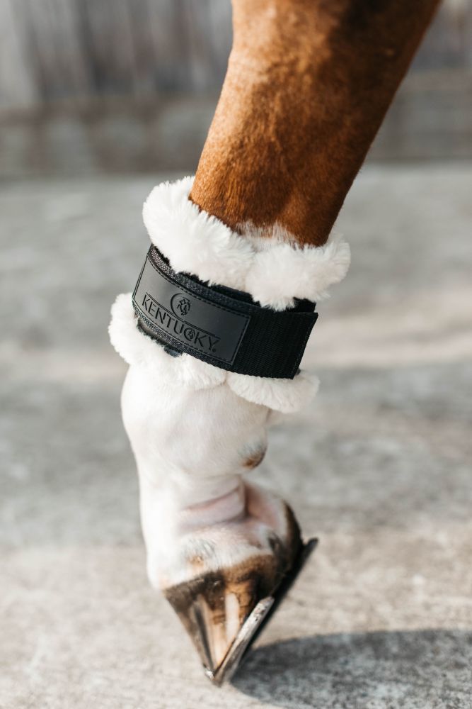 KENTUCKY® HORSEWEAR vegane Lammfell-Streichkappe Young Horse, schwarz