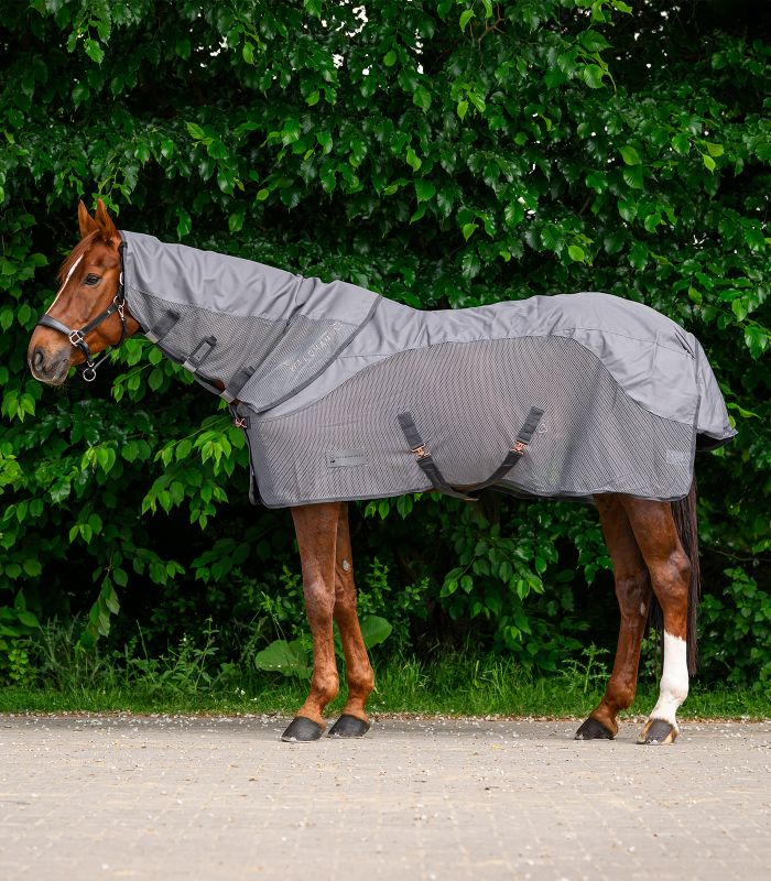 WALDHAUSEN COMFORT Regen-Fliegen-Halsteil, grau Graues COMFORT Regen-Fliegen-Halsteil an einem braunen Pferd in der Seitenansicht vor einer grünen Hecke.